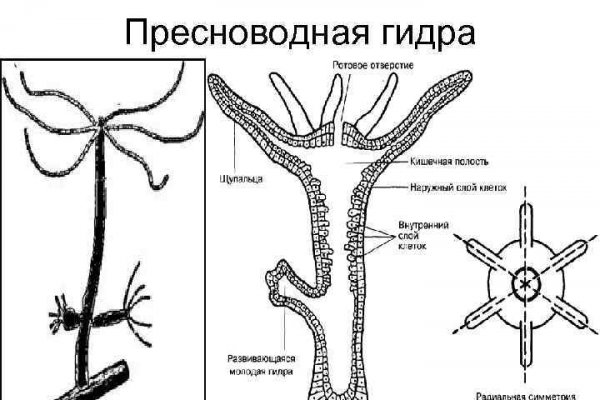 Kraken это современный маркетплейс