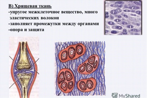 Официальная ссылка на кракен в тор