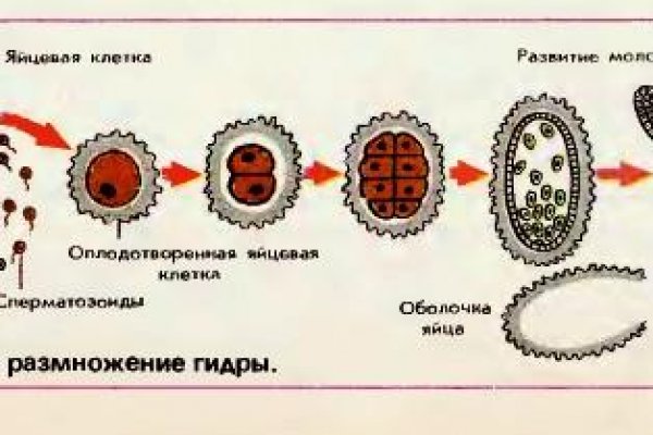 Сайт кракен россия